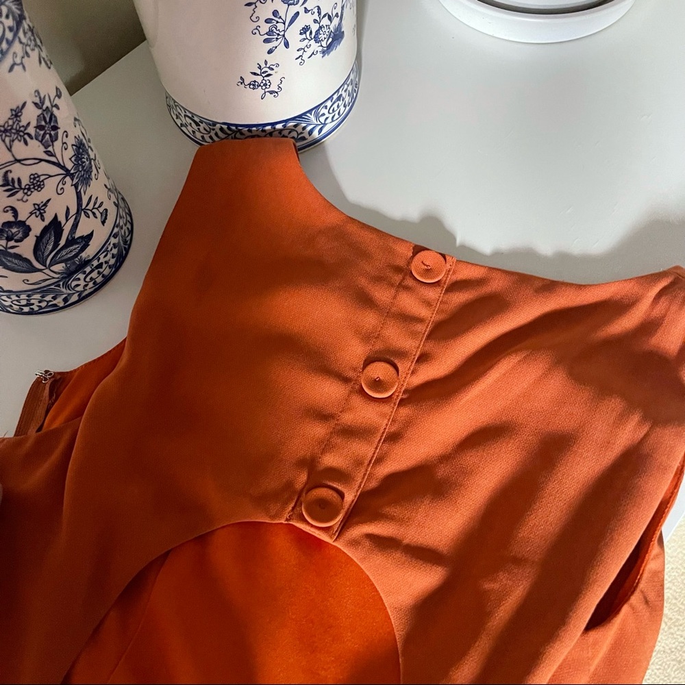 Fall Colours Pleated Dress - Picture 7 of 9